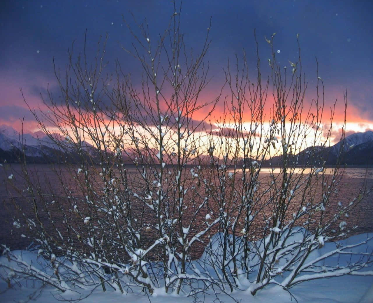 winter solstice 桌布 壁紙 — 白雪覆蓋的裸露樹枝框住了暮色中寧靜的冬日湖泊，白雪皚皚的山峰在粉紅和紫色調中閃耀。