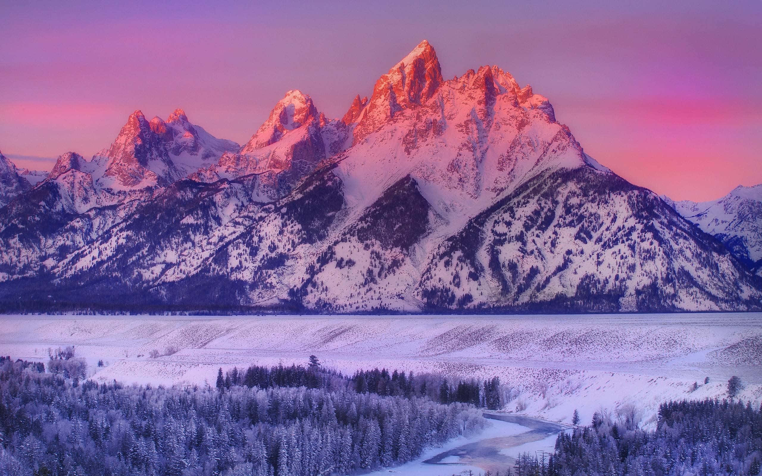 Snowy Landscape 桌布 壁紙 — 白雪覆蓋的鋸齒狀山峰在黎明時分在冰凍的湖泊和白雪覆蓋的森林上方閃耀著粉紅色和紫色。