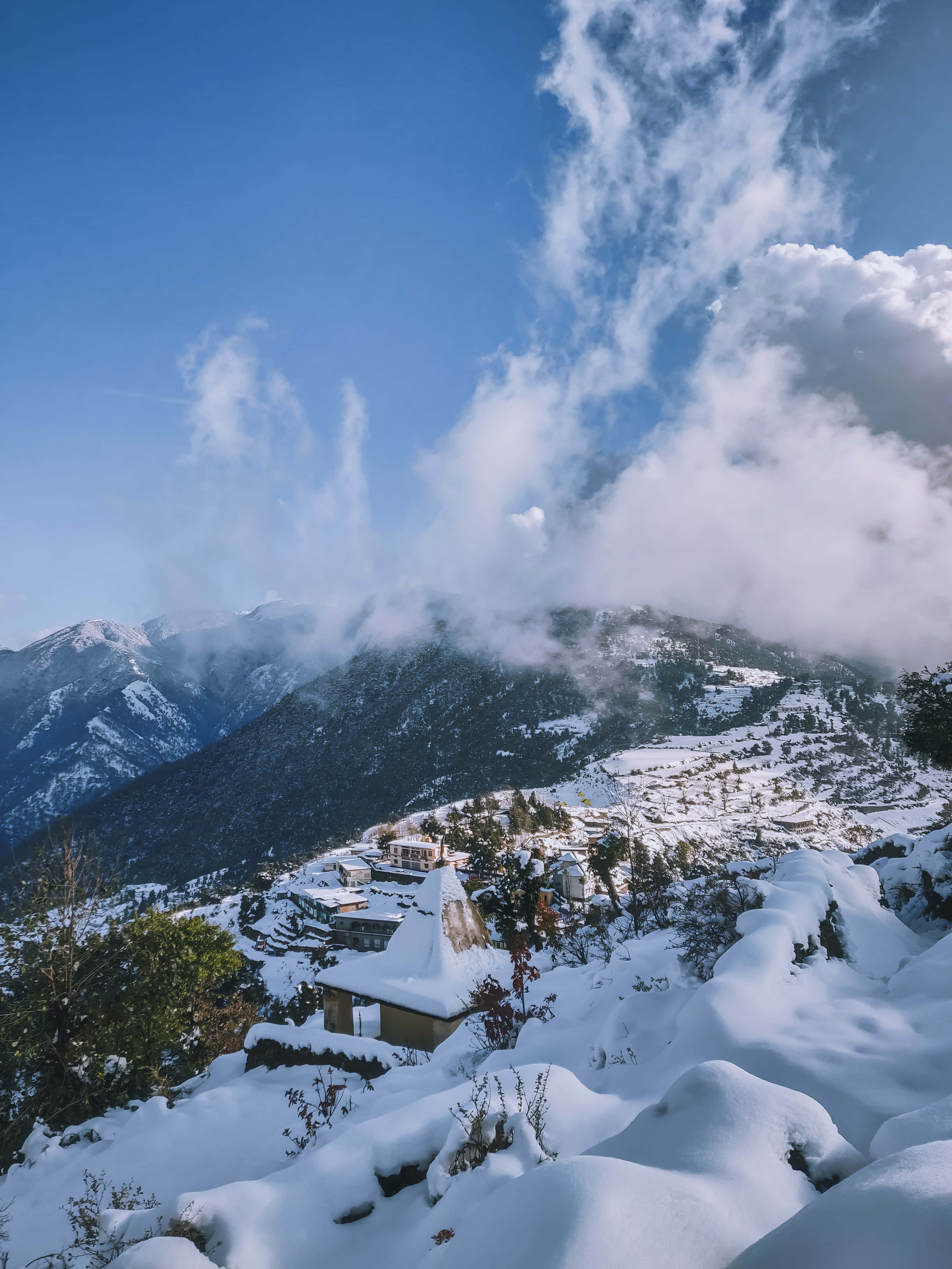 Kedarnath 桌布 壁紙 — 白雪覆蓋著一個坐落在松樹林中的山村，明亮的藍天下有飄浮的雲朵。