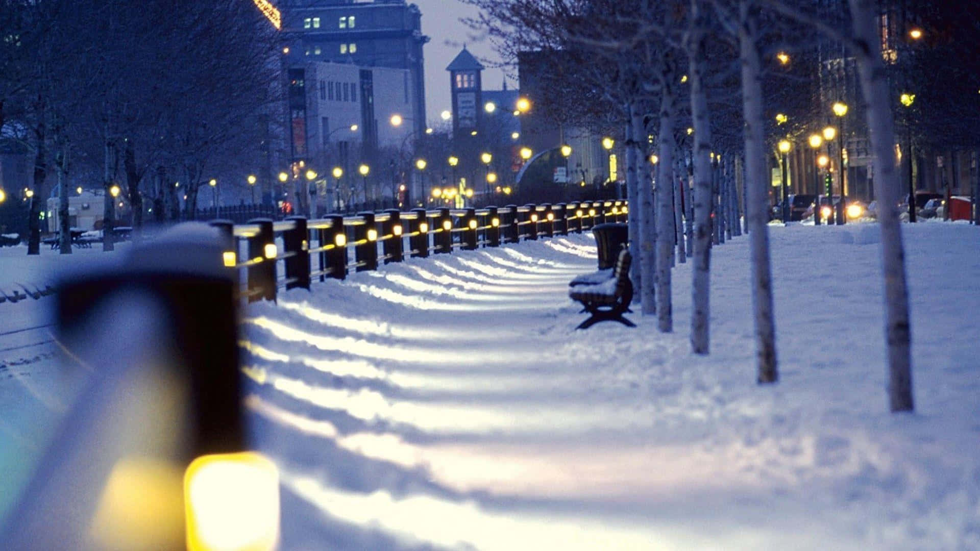 Winter Cityscape 桌布 壁紙 — 白雪覆蓋著一條城市人行道，兩旁是光禿禿的樹木和發光的街燈，在暮色天空下。
