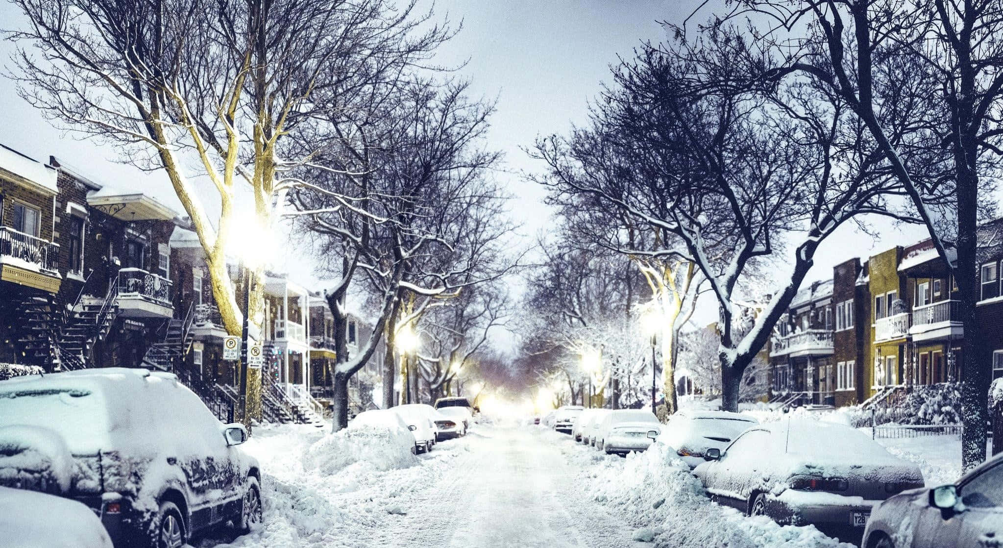 Winter Cityscape 桌布 壁紙 — 白雪覆蓋著停泊的汽車和光禿禿的樹木，沿著一條寧靜的住宅街道，在發光的街燈下。