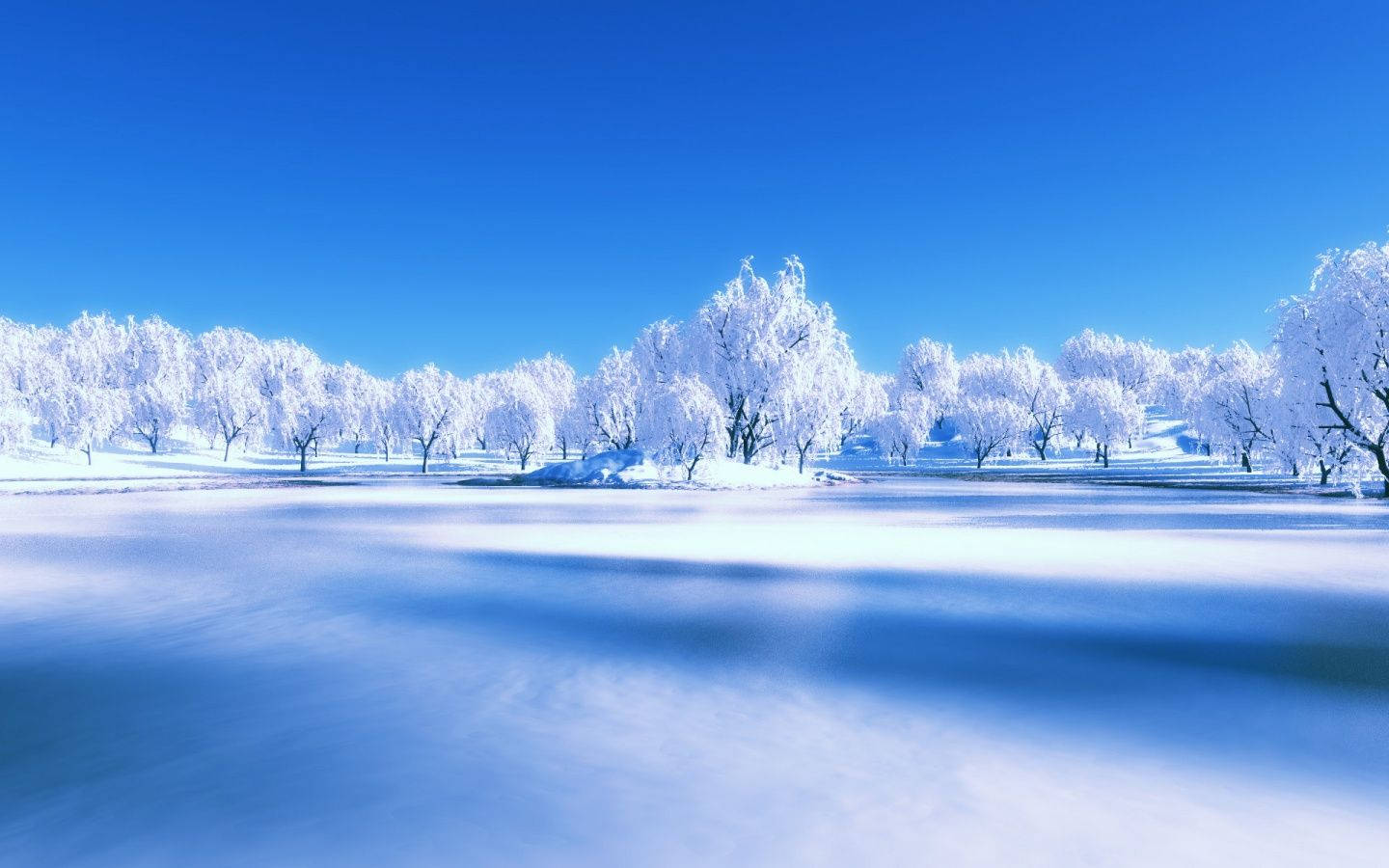 冬天 桌布 壁紙 — 白雪覆蓋著冰凍的樹木，在清澈的藍天下，前景是模糊的冰面。