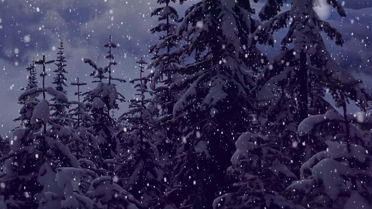 聖誕美學 桌布 壁紙 — 白雪覆蓋著常綠樹，深紫色暮色天空下，雪花輕輕飄落。