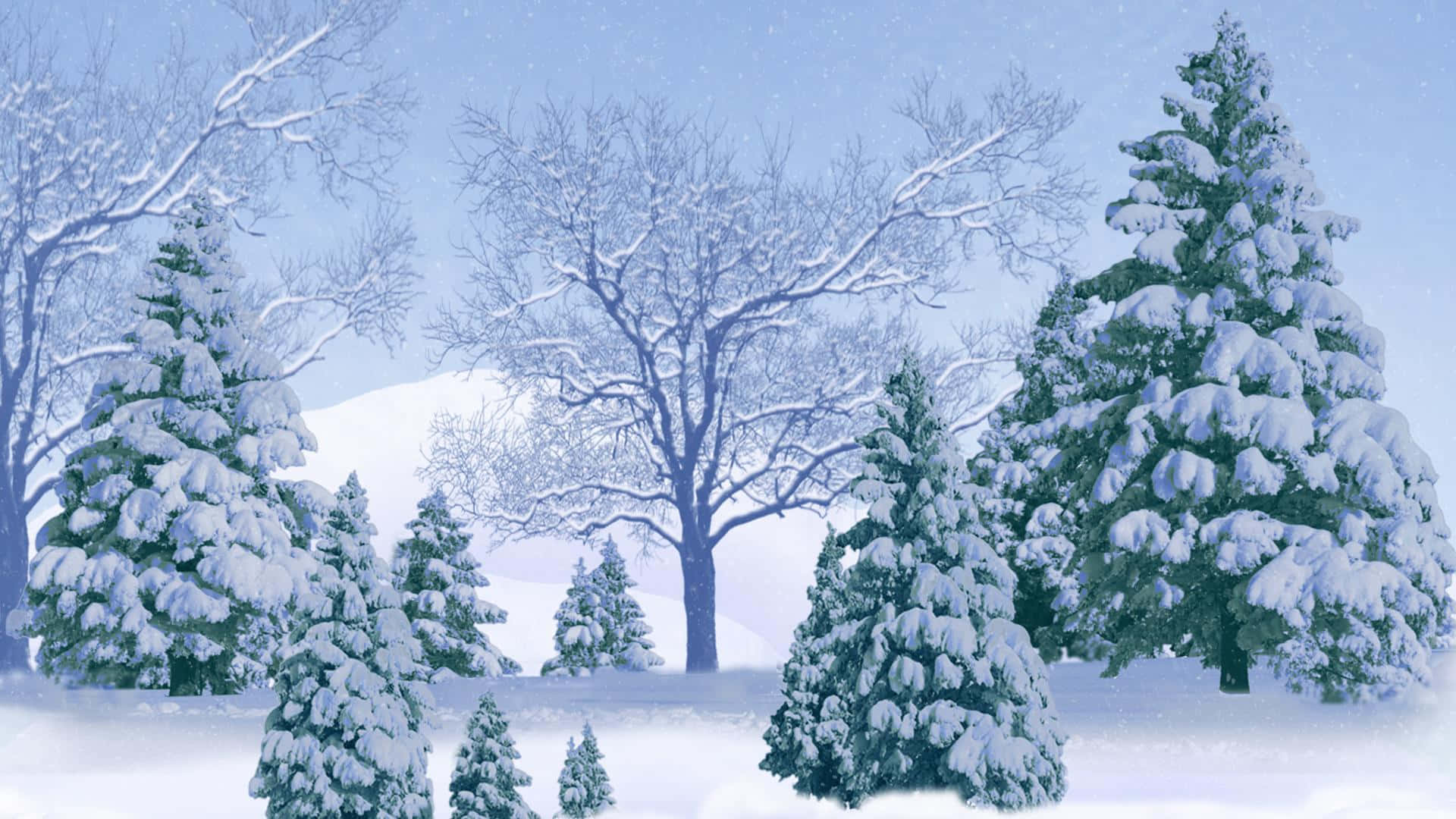Winter Forest 桌布 壁紙 — 白雪覆蓋著常綠樹和光禿的樹枝，在柔和的藍色冬日天空下，輕柔飄落的雪花。