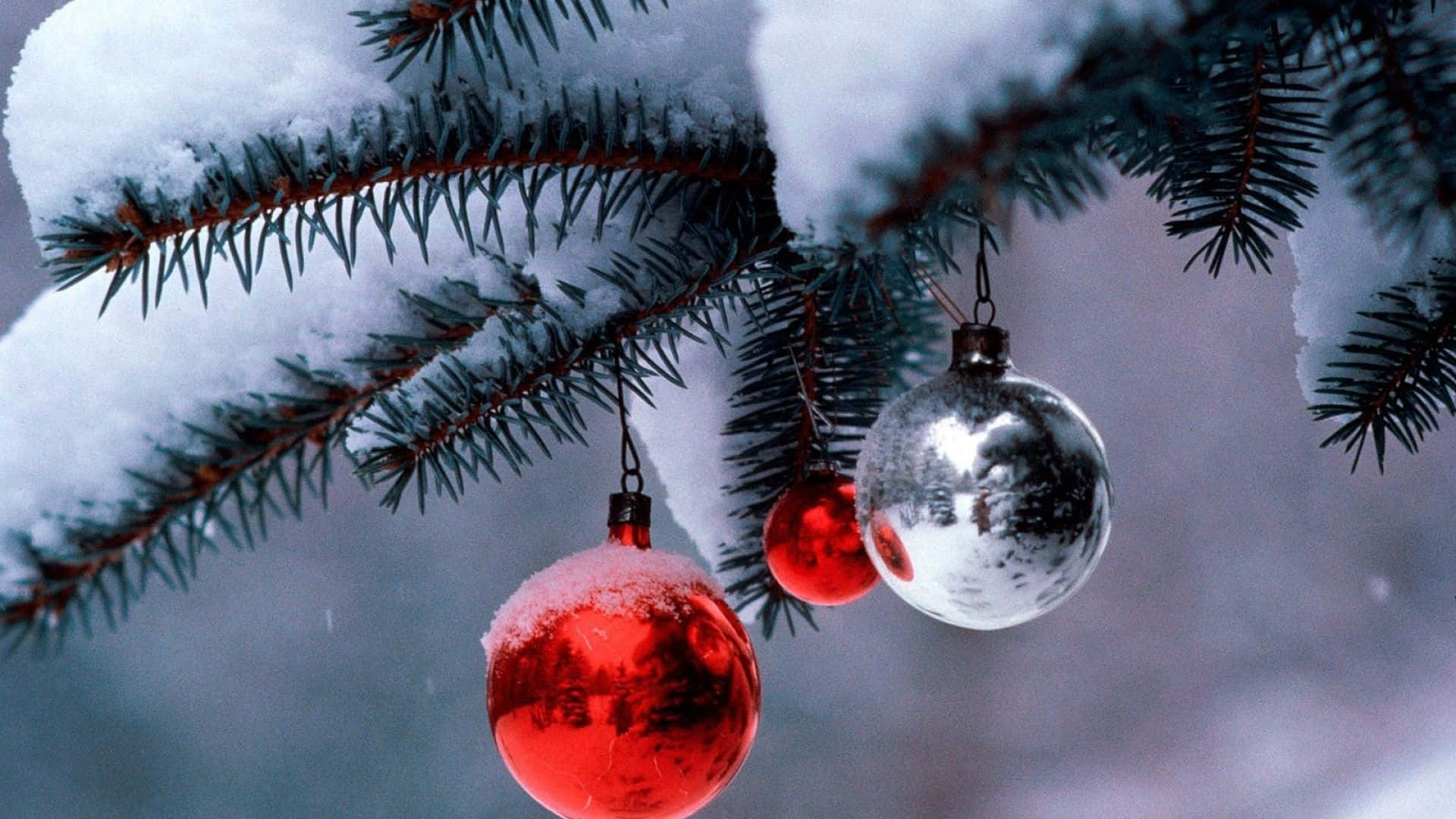 Winter Christmas 桌布 壁紙 — 白雪覆蓋著常青樹枝，樹枝上掛滿閃亮的紅色和銀色聖誕裝飾，映襯著柔和的冬日天空。
