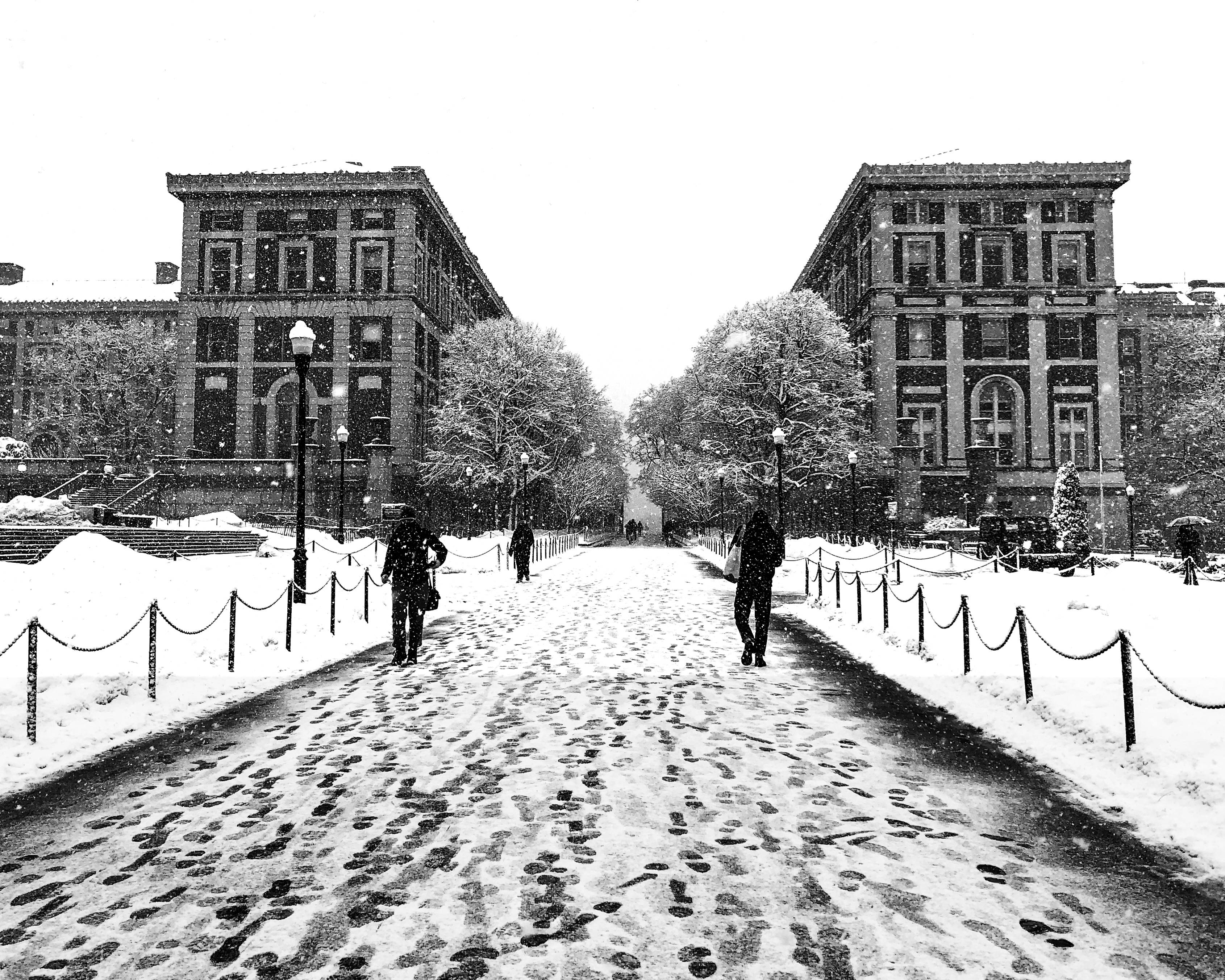 University 桌布 壁紙 — 白雪覆蓋著歷史悠久的大學廣場，行人走過宏偉建築之間鵝卵石小徑上的腳印。