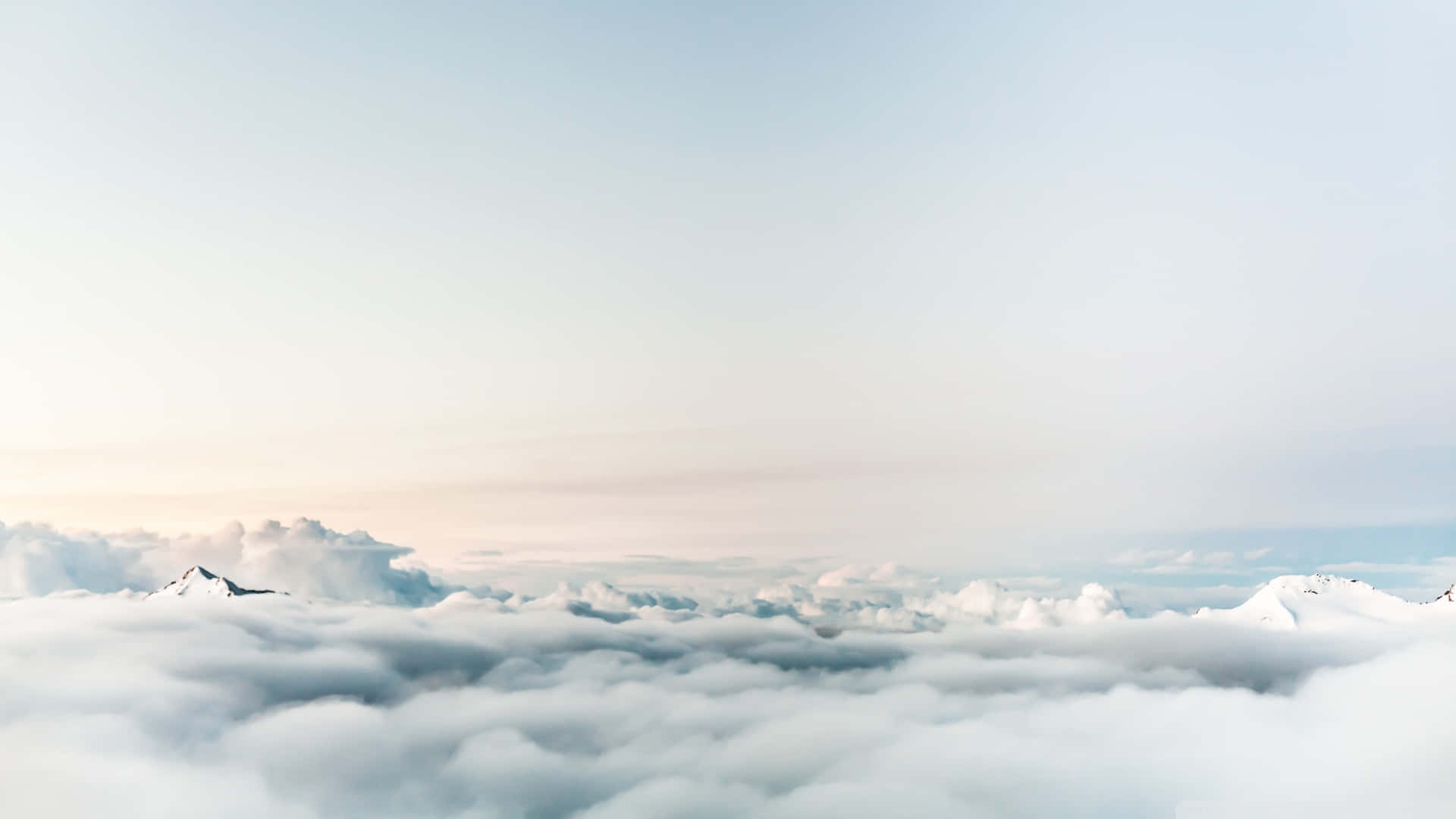 在柔和天空下，從雲海中浮現的白雪覆蓋的山峰。