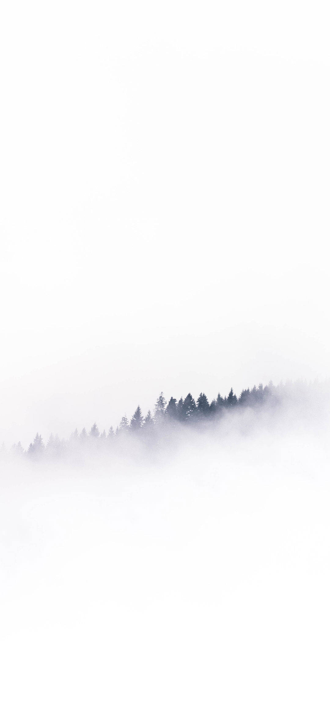 白雲覆蓋山林 iPhone 壁紙 — 寧靜的森林山脊從濃霧中浮現，映襯著蒼白的天空，構成極簡的冬日景象。