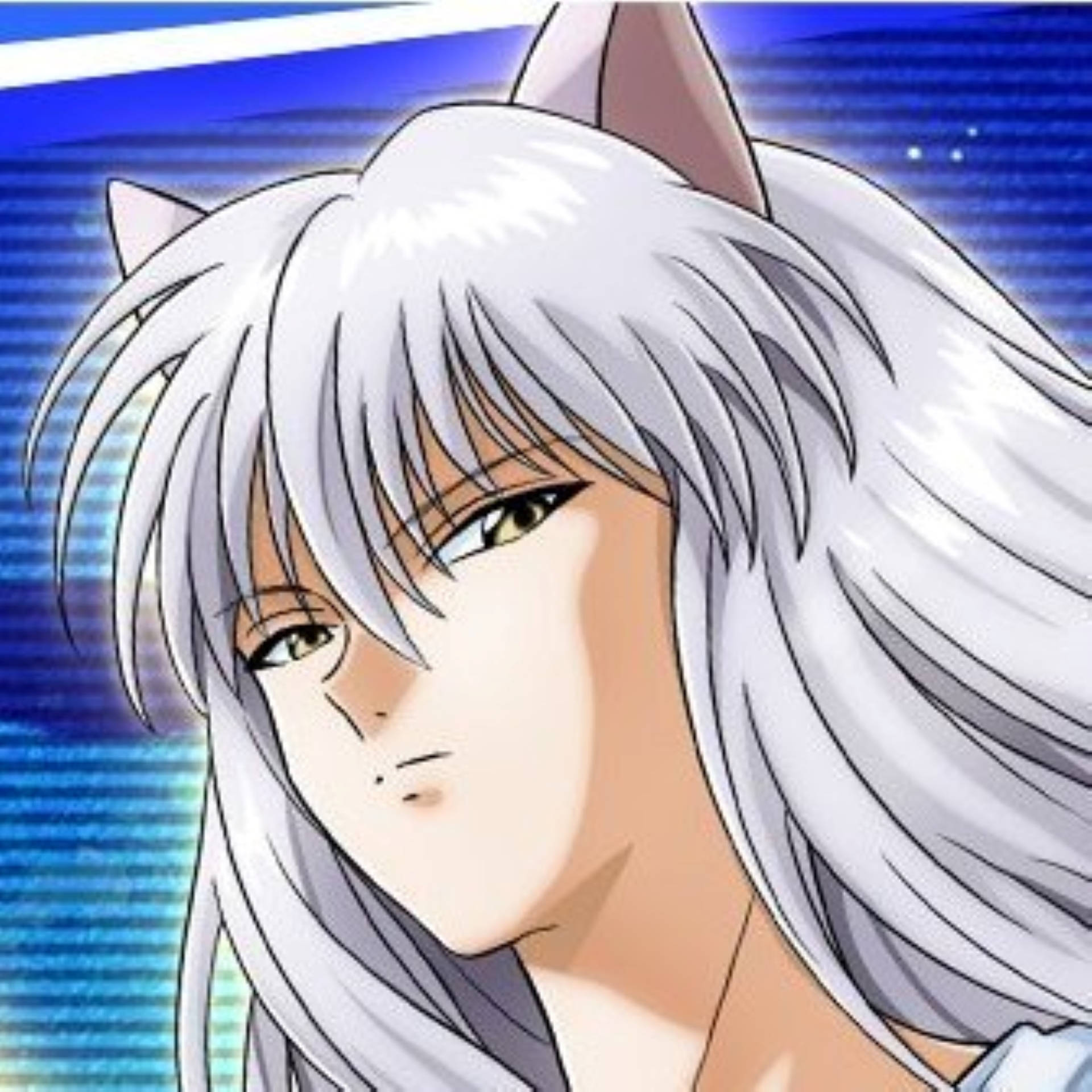 白髮Yoko Kurama 壁紙 — 動漫角色，銀色頭髮和貓耳朵，在充滿活力的藍色數位背景前專注地凝視。