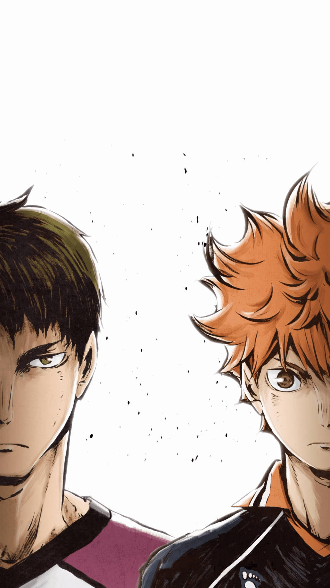 兩個表情嚴肅、髮色對比的動漫男孩。