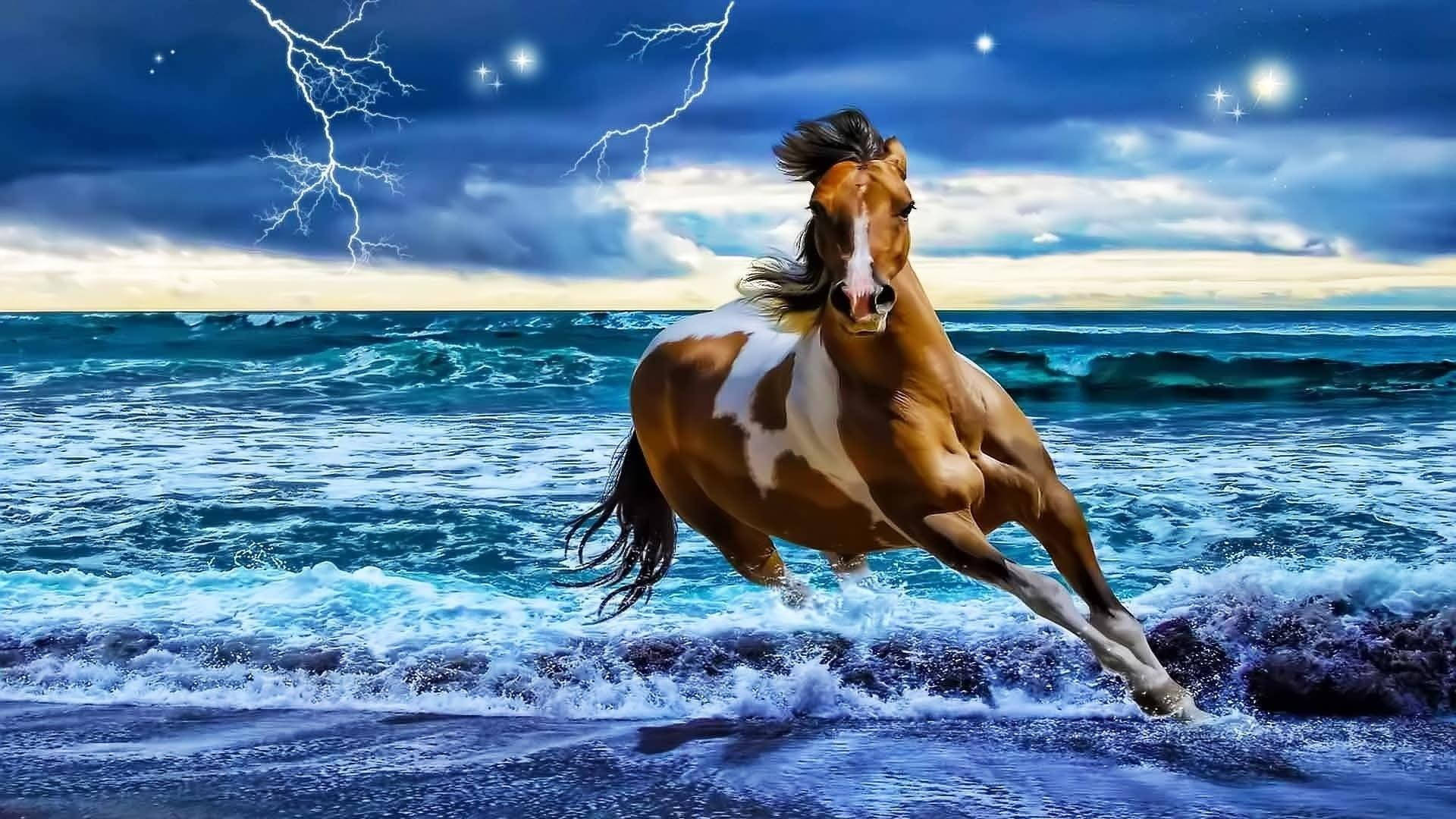 一匹棕白相間的馬在夜間的雷雨中穿過海浪奔跑。