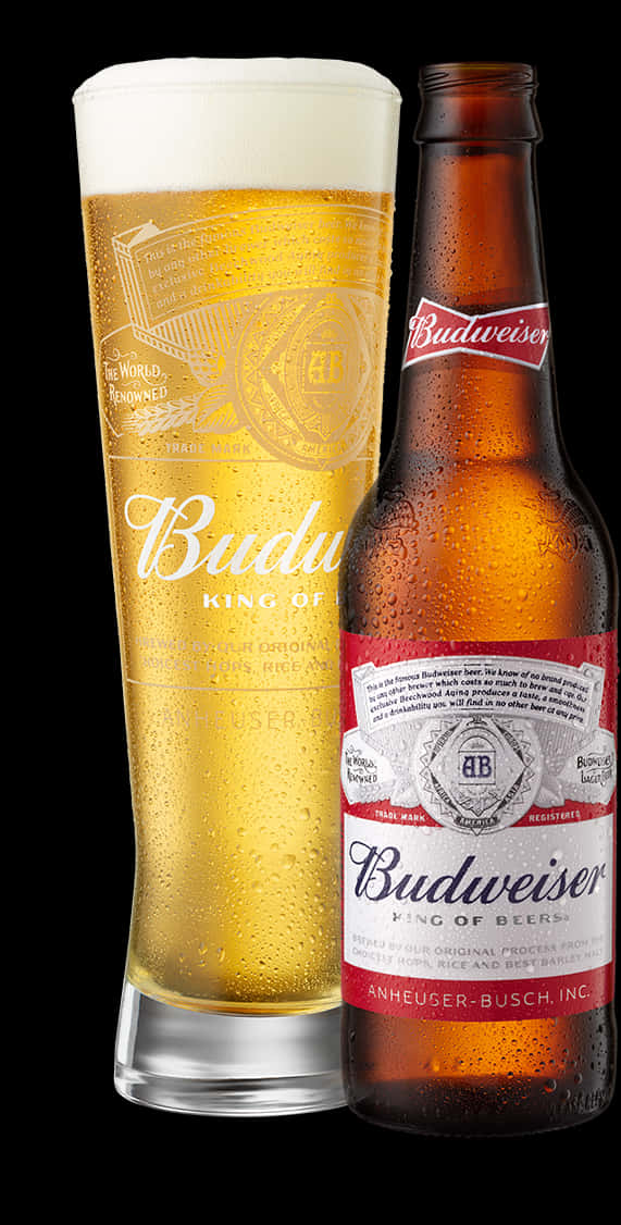 百威啤酒瓶與酒杯 壁紙 — 冰凍的Budweiser啤酒瓶和玻璃杯，在黑色背景上凝結水珠。