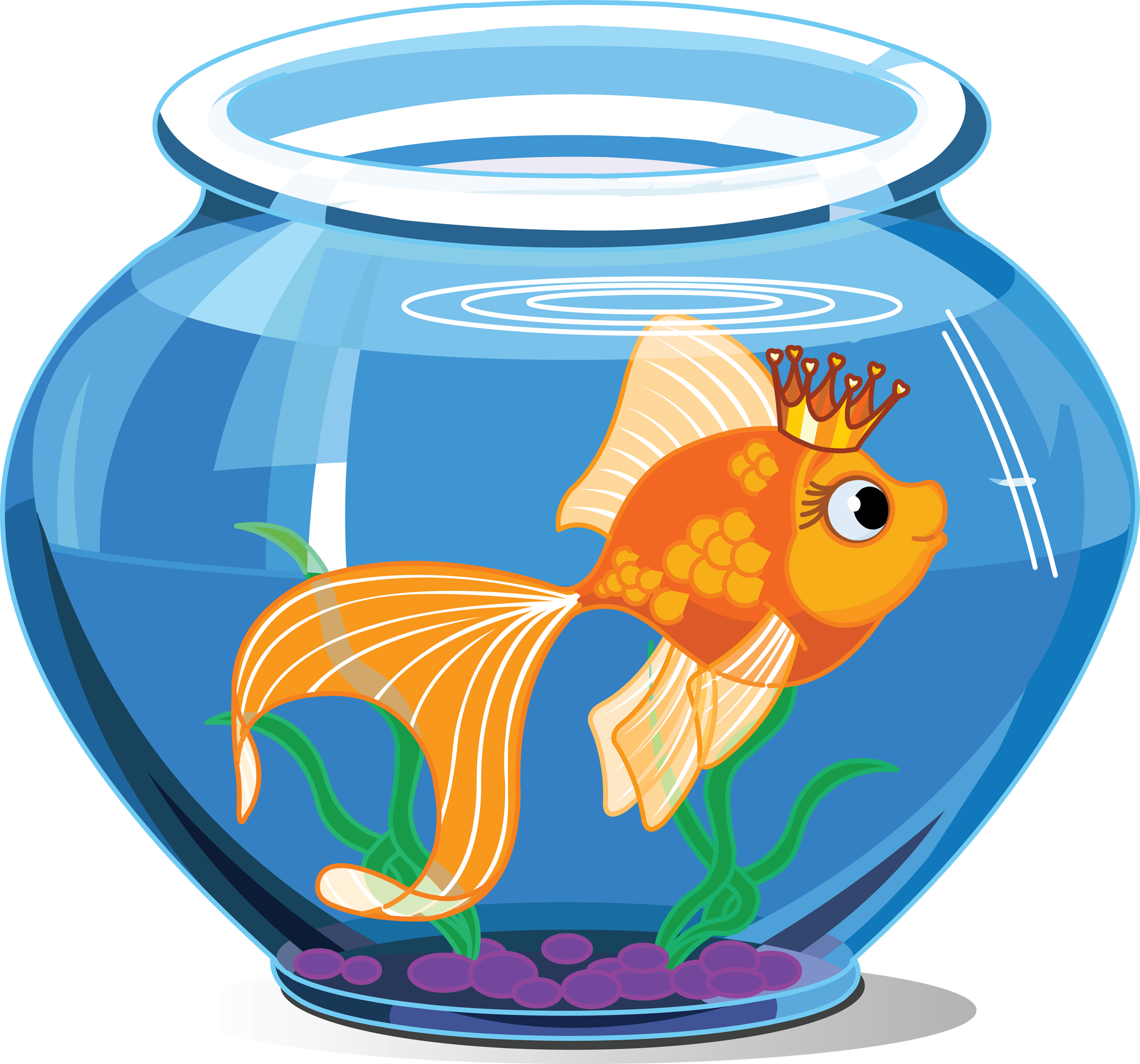皇家金魚缸 壁紙 — 一條戴著皇冠的卡通金魚在一個有綠色植物和紫色礫石的藍色魚缸中游動。