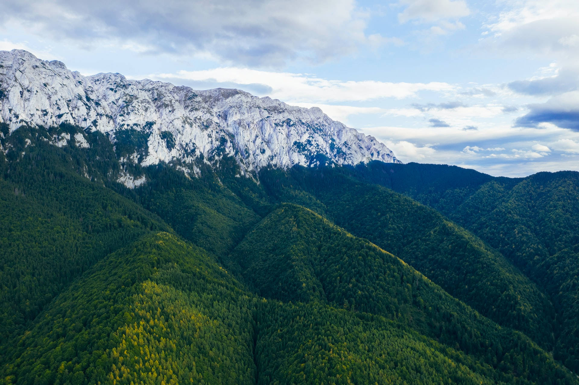 在多雲的天空下，白雪覆蓋的山峰聳立在茂密的綠色森林之上。