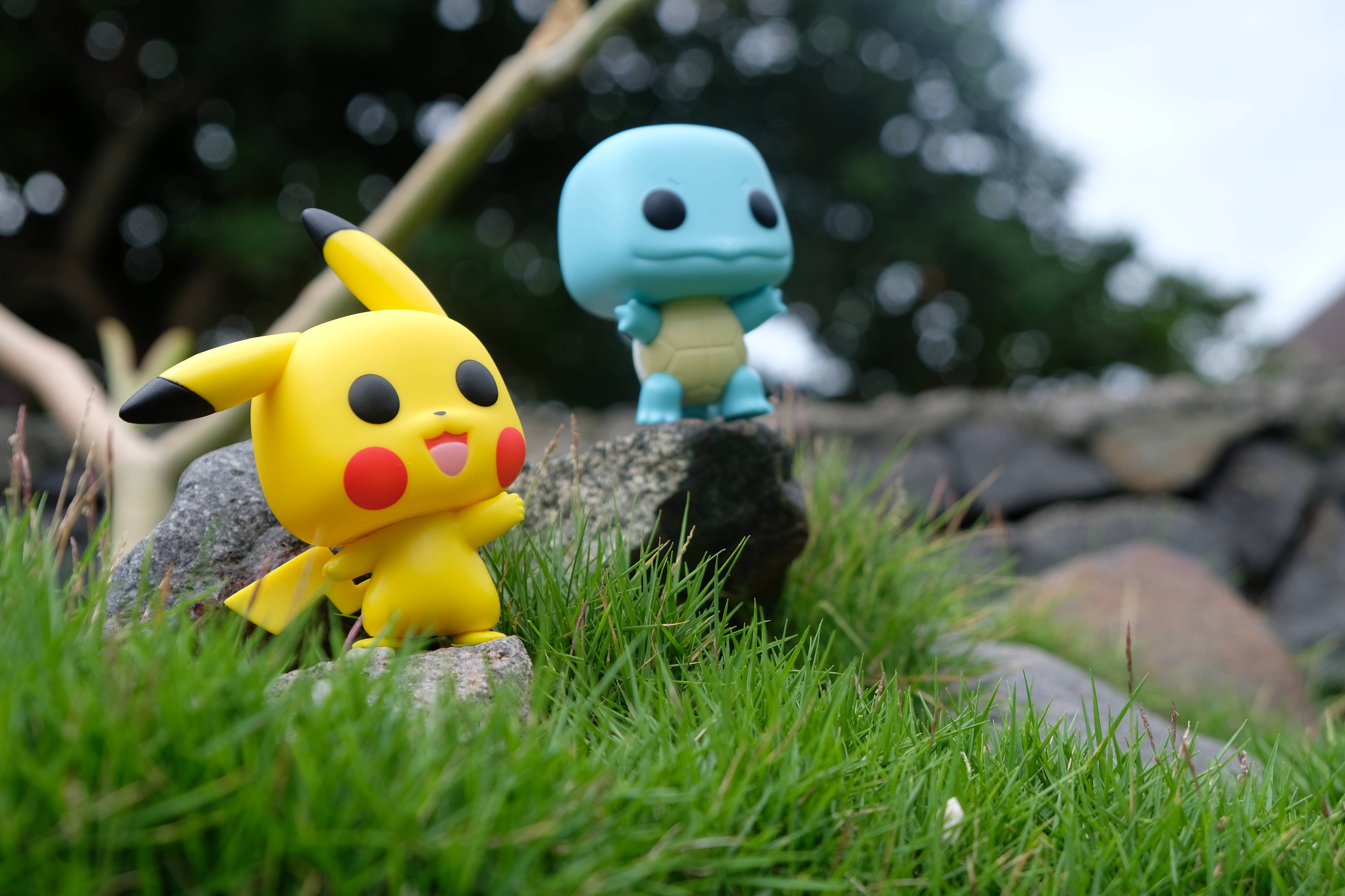皮卡丘與傑尼龜 壁紙 — 兩個 Funko Pop 風格嘅寵物小精靈公仔比卡超同車厘龜坐喺草地上嘅石頭上，背景有模糊嘅樹木。