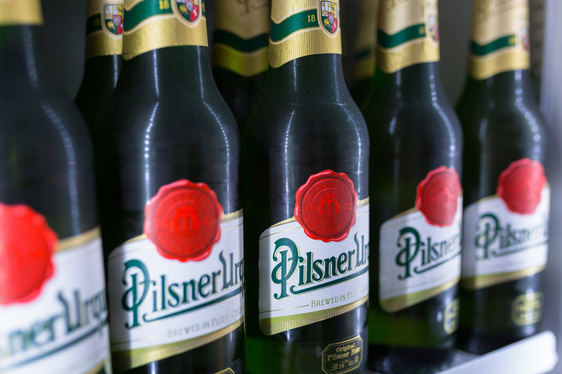 架上一排帶有紅色蠟封的 Pilsner Urquell 啤酒瓶。