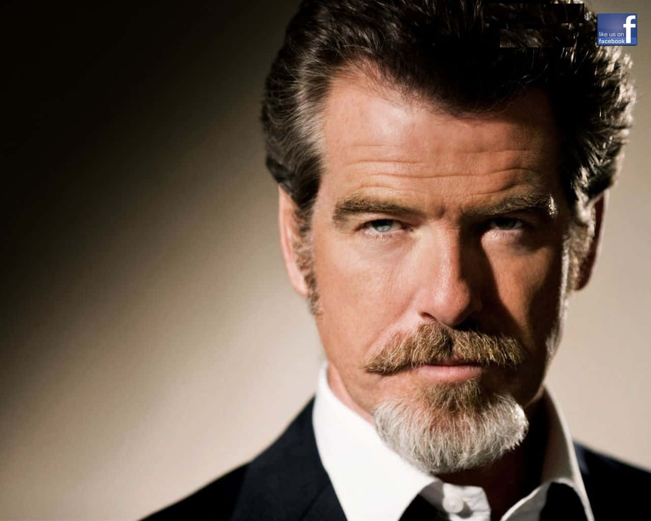 pierce brosnan 桌布 壁紙 — 皮雅斯·布士南嘅特寫肖像，眼神銳利，身穿深色西裝同白恤衫，背景係柔和漸變色。