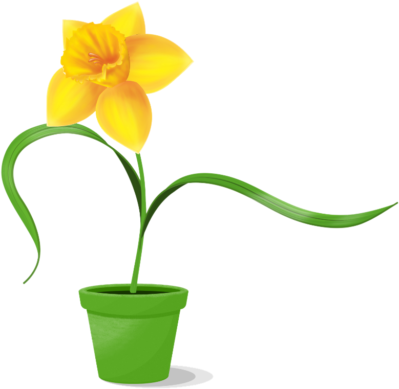 盆栽黃色水仙花圖案 壁紙 — 一株鮮黃色的水仙花，種在綠色花盆中，葉片彎曲，襯托在純黑色背景上。