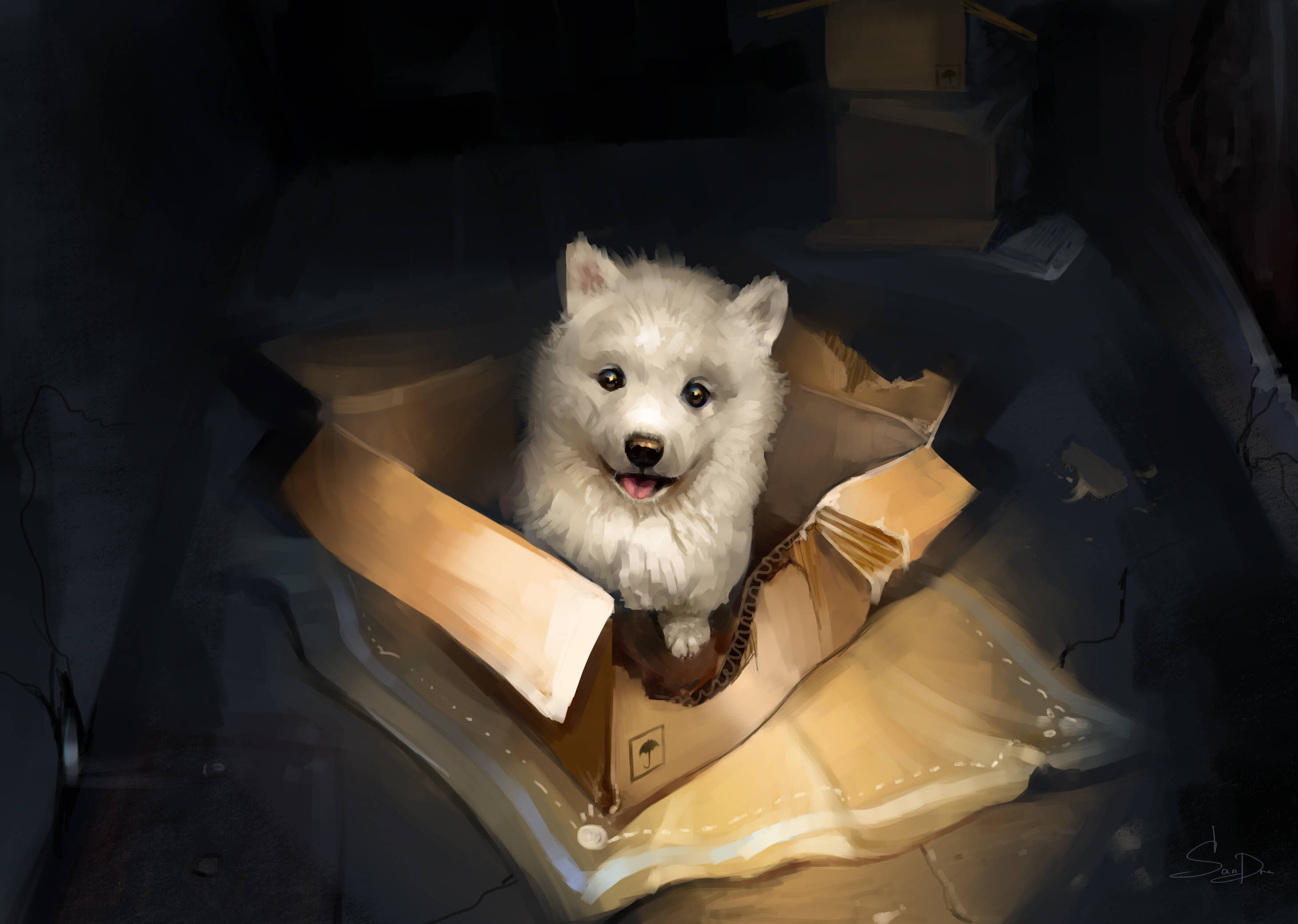 盒中的白色幼犬 壁紙 — 一隻毛茸茸的白色小狗在昏暗的房間裡，柔和溫暖的燈光下，從紙箱中開心地探出頭來。
