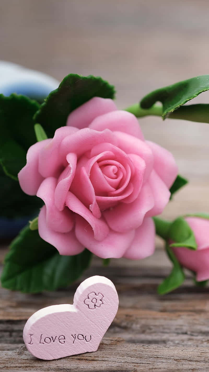 粉紅玫瑰和心形代幣，刻有「I Love You」，在木頭上。
