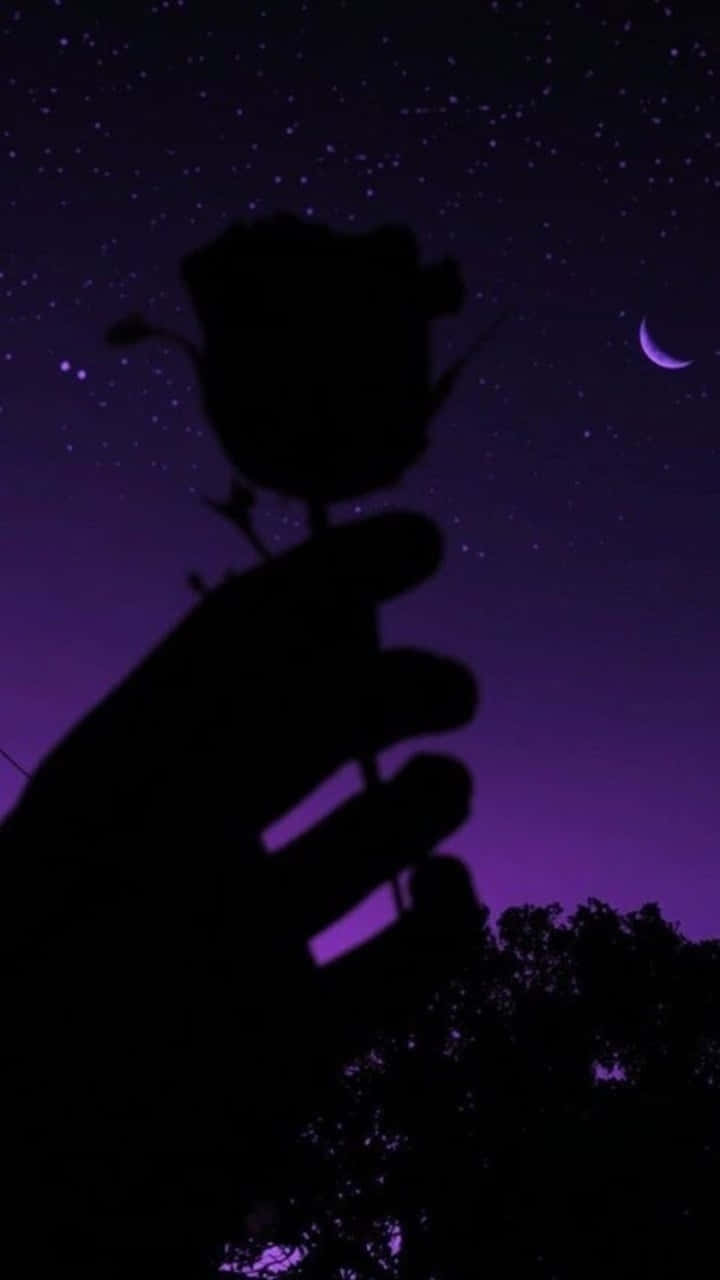 盛開的優雅黑玫瑰 壁紙 — 一隻手在繁星點點的紫色夜空下，以新月為背景，手持玫瑰的剪影。