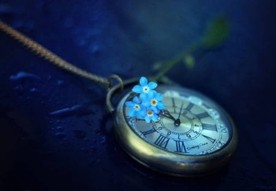 盛開的勿忘我花朵 壁紙 — 一個帶有羅馬數字的復古懷錶放在深色表面上，點綴著精緻的藍色勿忘我花。