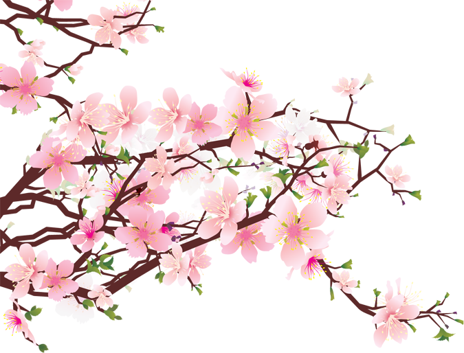 盛開的櫻花枝條 壁紙 — 一幅充滿活力的數碼插圖，描繪盛開的櫻花，帶有柔和的粉紅色花瓣和綠色葉子，背景風格化。