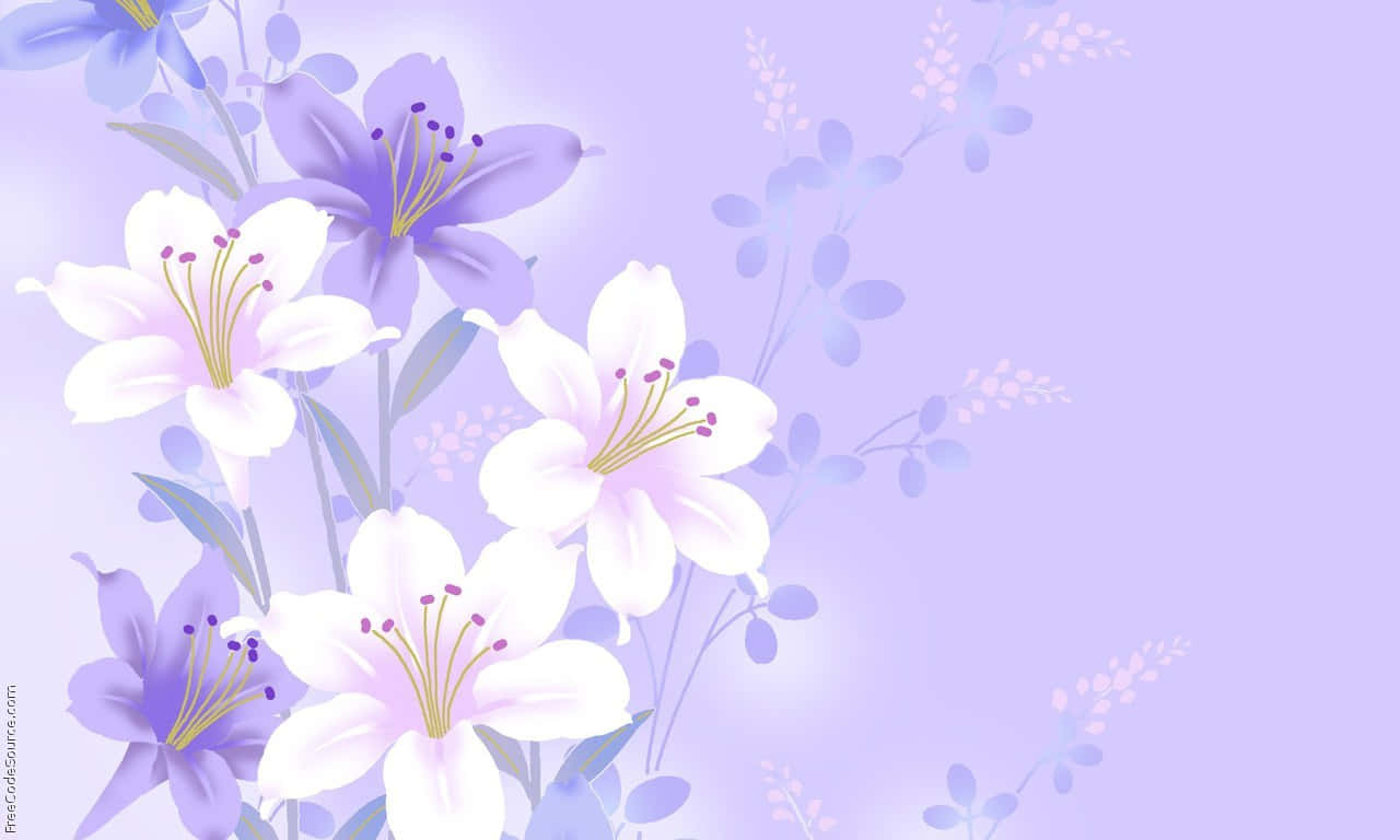 在柔和的薰衣草背景上，精緻的白色和紫色百合花帶有黃色雄蕊。
