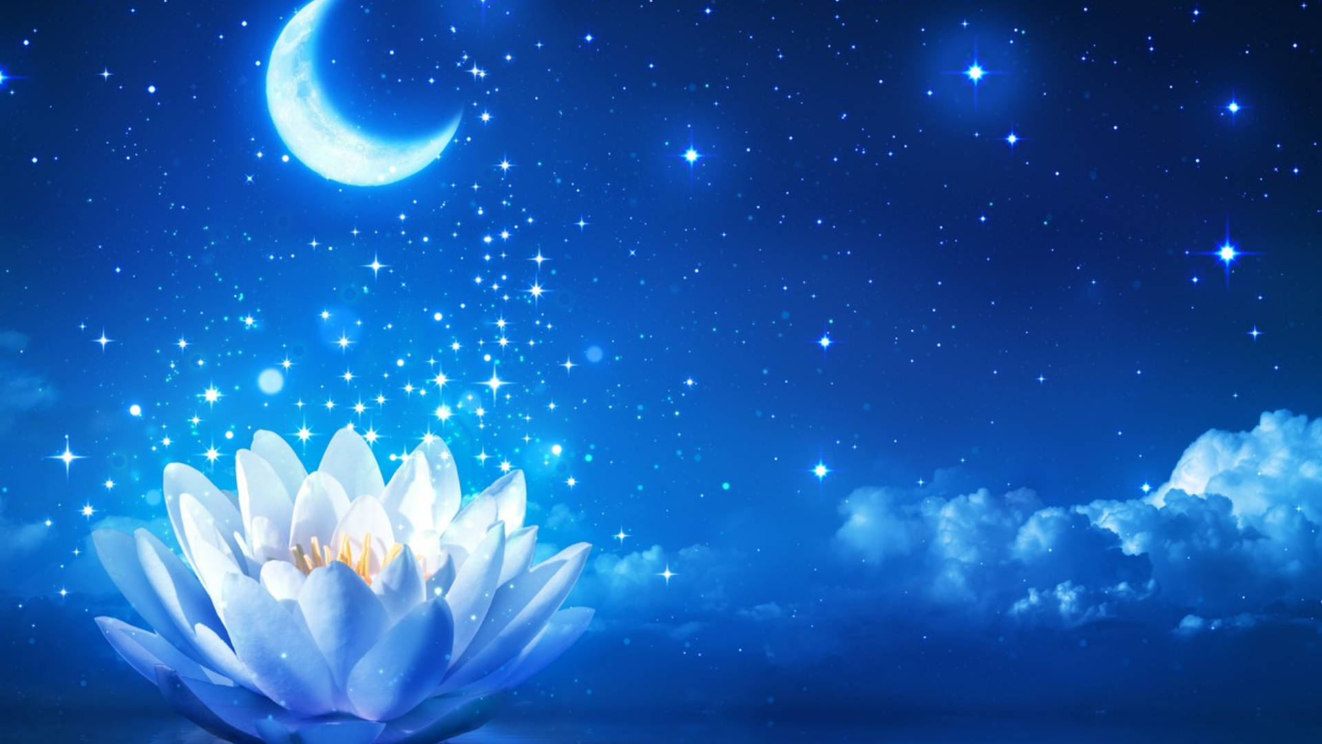 一朵發光的白色蓮花在新月和星星下夜晚綻放。