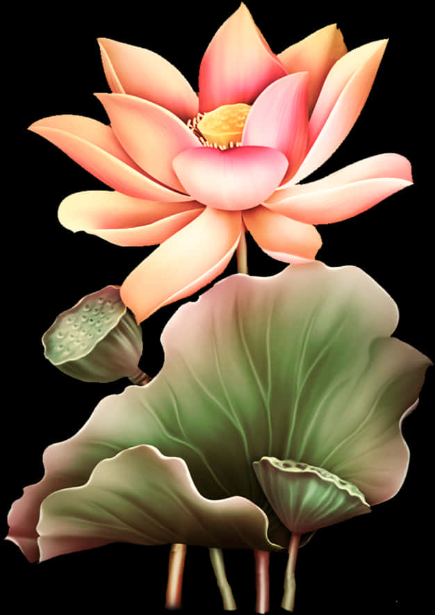 盛開蓮花藝術作品 壁紙 — 一朵鮮豔的粉紅色蓮花在大片綠葉上方優雅綻放，背景為純黑色。