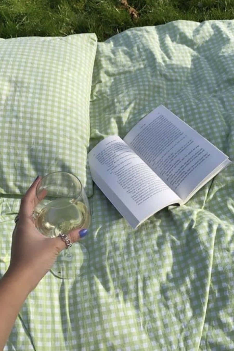 戶外綠色格仔毯上，手拿著酒杯，旁邊有一本打開的書。