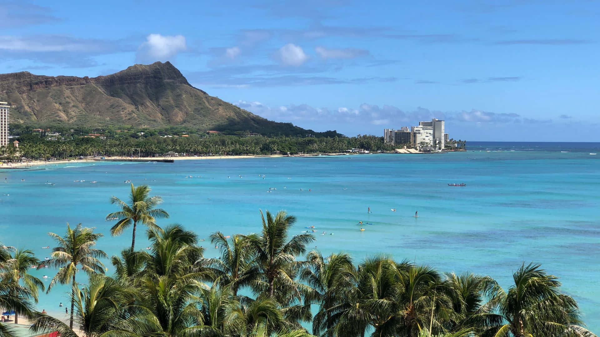 盡情享受夏威夷的絕美風景 壁紙 — 充滿活力的熱帶海灘場景，有碧綠的海水、棕櫚樹和鑽石頭山，在明亮的藍天下。