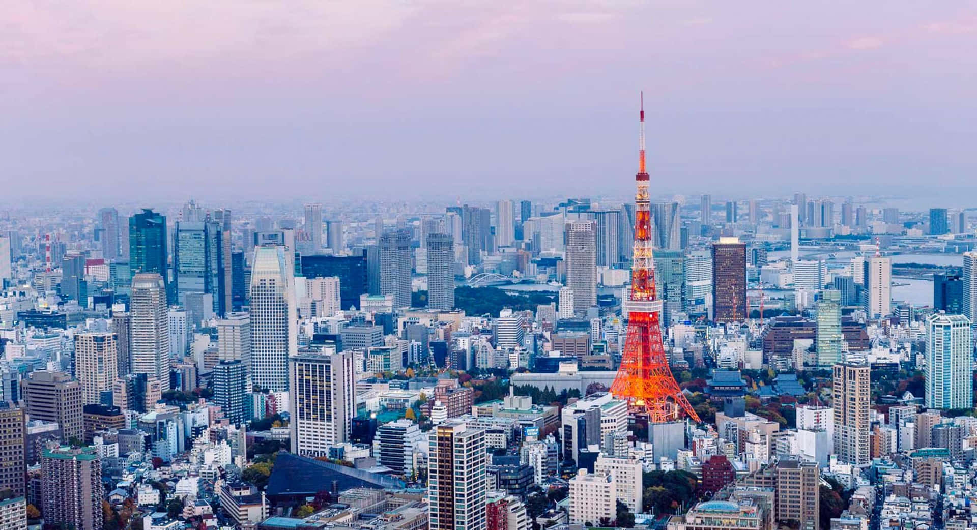 夕陽下東京鐵塔照亮廣闊的城市景觀。