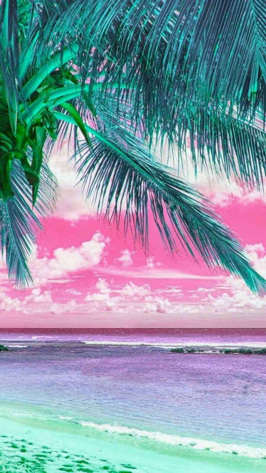 棕櫚葉框住的熱帶海灘，有粉紅色天空和藍綠色海水。