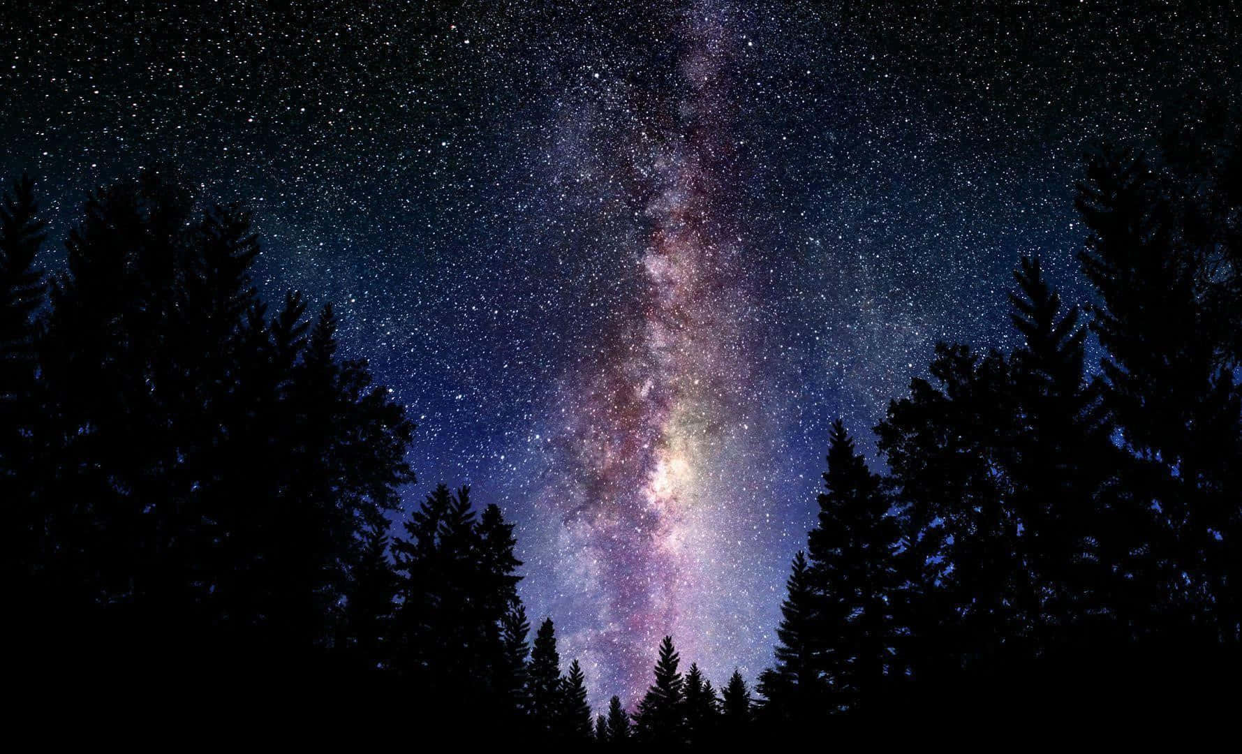 銀河系在夜晚的黑暗松林上空拱起。