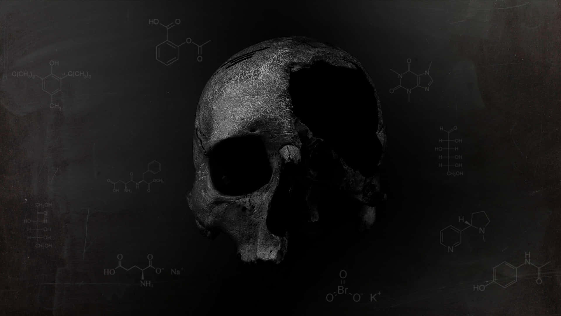 一個化石頭骨被化學方程式包圍在黑板背景上。