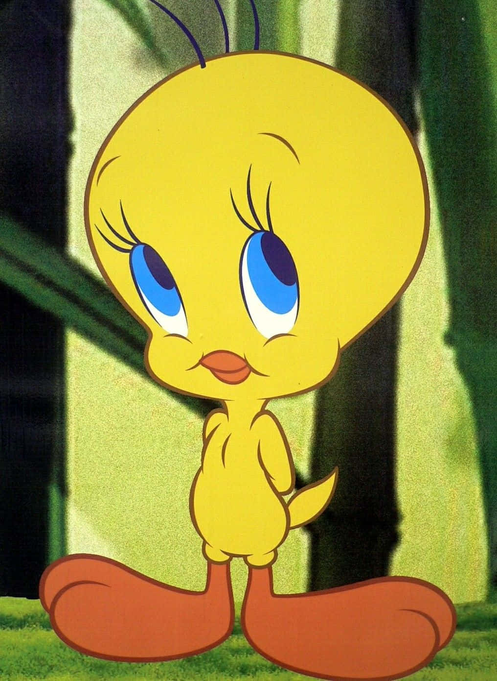 看我，我是最可愛的鳥兒！ 壁紙 — 經典卡通角色 Tweety Bird 站在森林中，擁有大大的藍色眼睛和甜美的笑容。