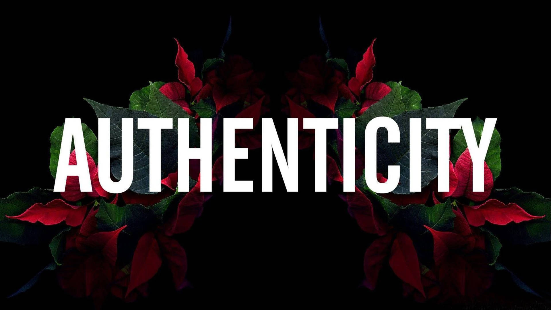黑色背景上，紅色聖誕紅圍繞著粗體白色文字「authenticity」。