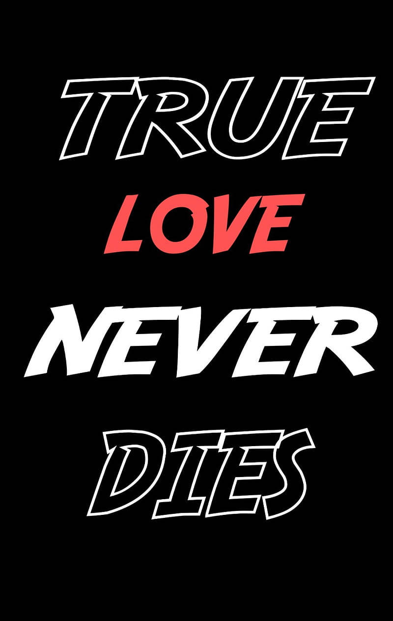 黑色背景上白色和紅色的True love never dies文字圖形