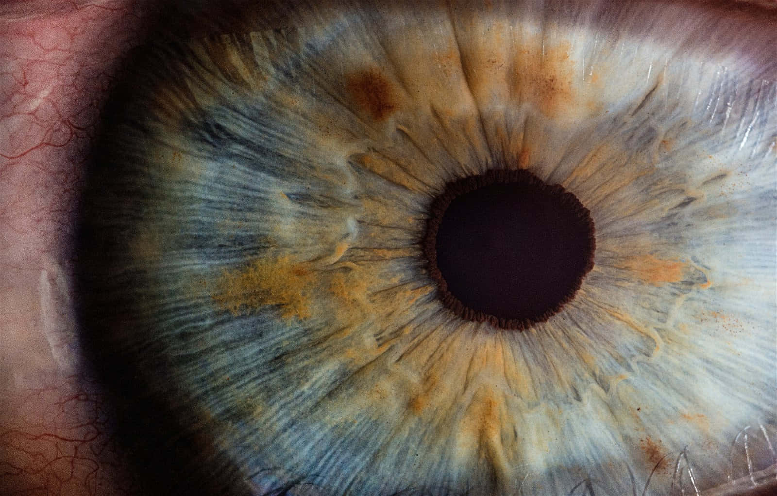 人類眼睛的特寫，顯示詳細的虹膜圖案和周圍的血管。