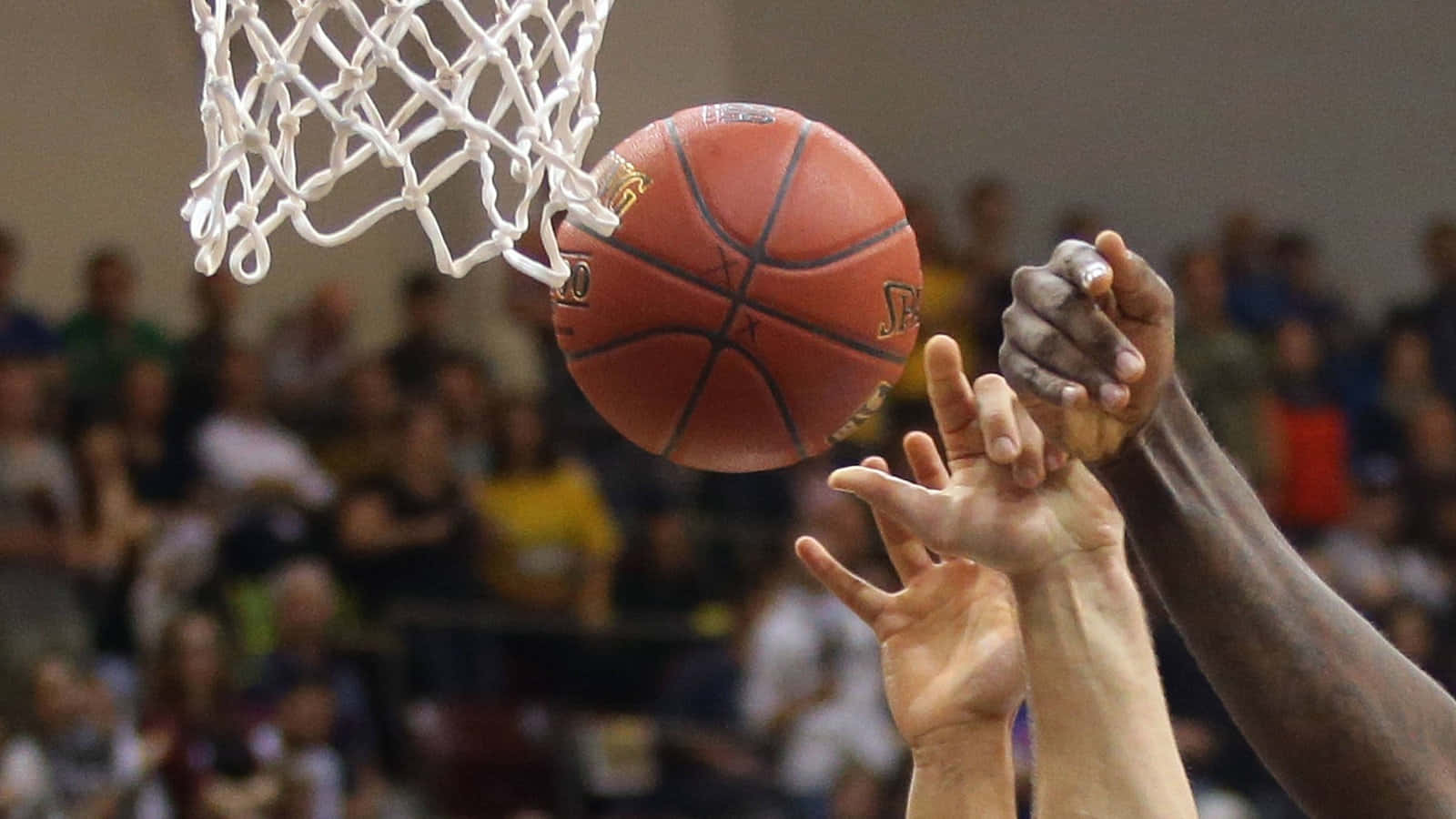 兩名籃球運動員在球穿過籃網時爭奪投籃。