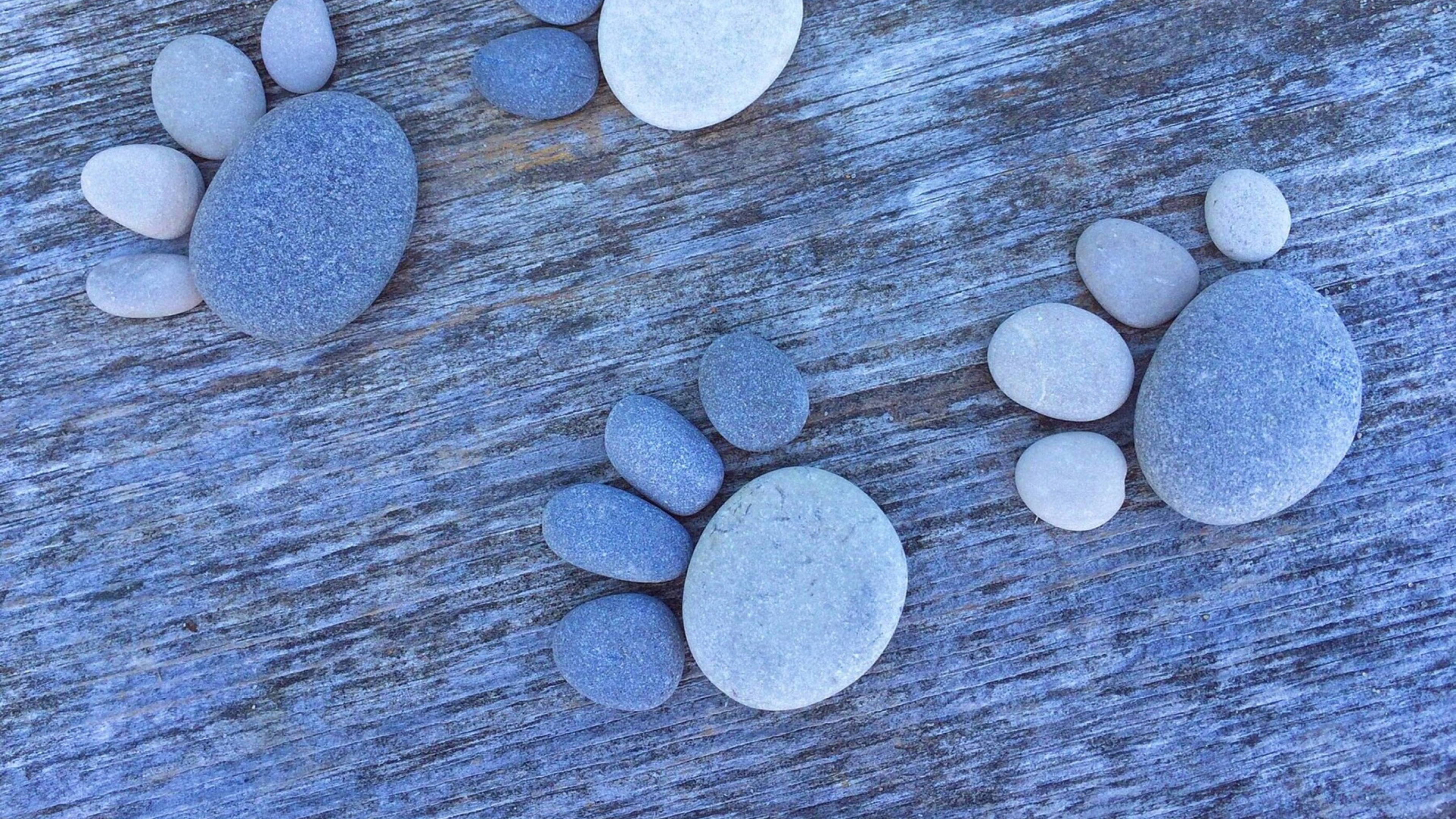 石雕爪印小徑 壁紙 — 三個由光滑藍白石子組成的爪印，排列在風化的藍色木板上。