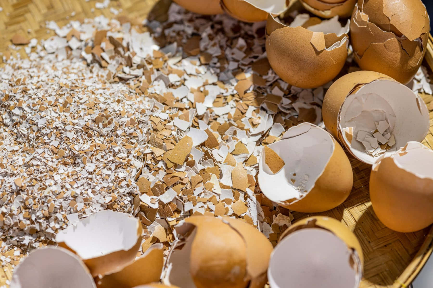 Eggshell 桌布 壁紙 — 破裂的棕色蛋殼和白色碎片散落在編織竹盤上，在明亮的陽光下。