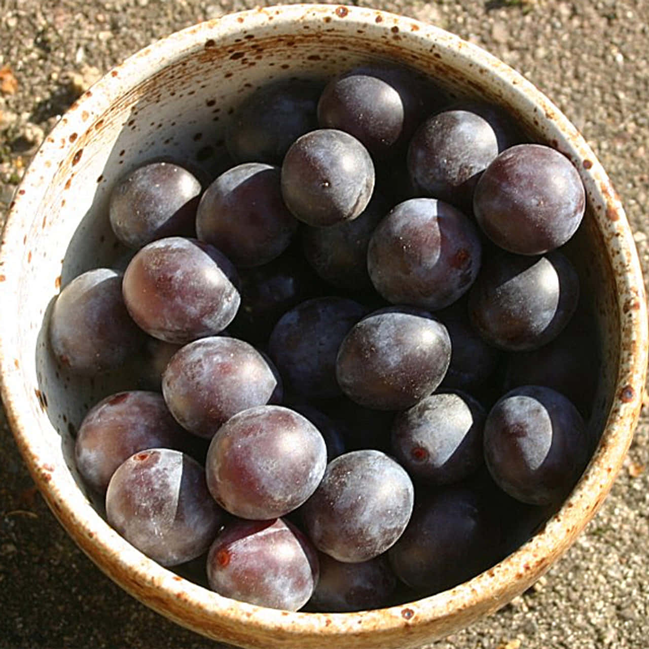 碗中的成熟黑 plum 壁紙 — 一個鄉村風格的陶瓷碗，盛滿了在明亮陽光下閃閃發光的飽滿深紫色葡萄。