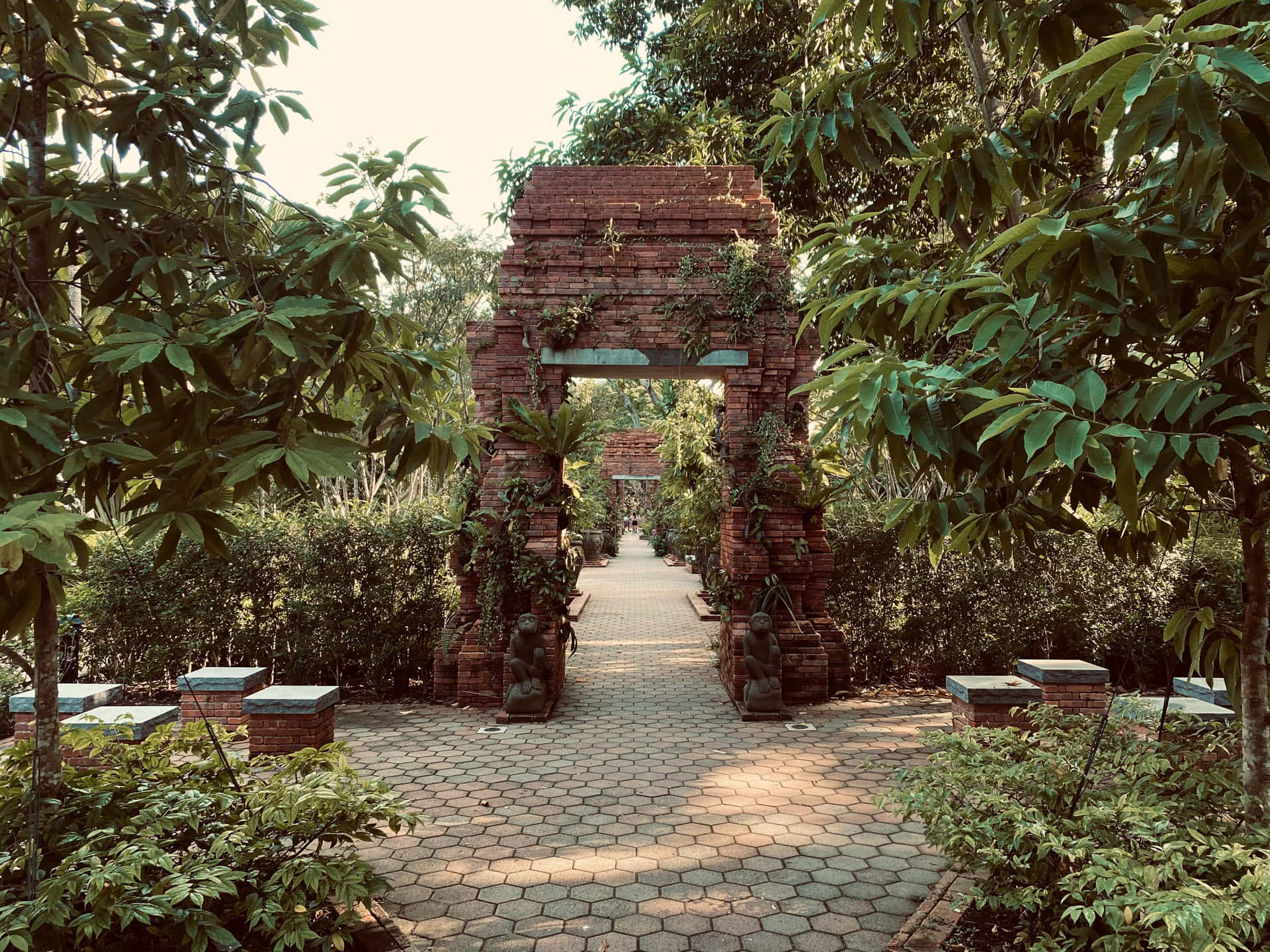 一個爬滿藤蔓的磚砌拱門引領穿過一條陽光普照的花園小徑。