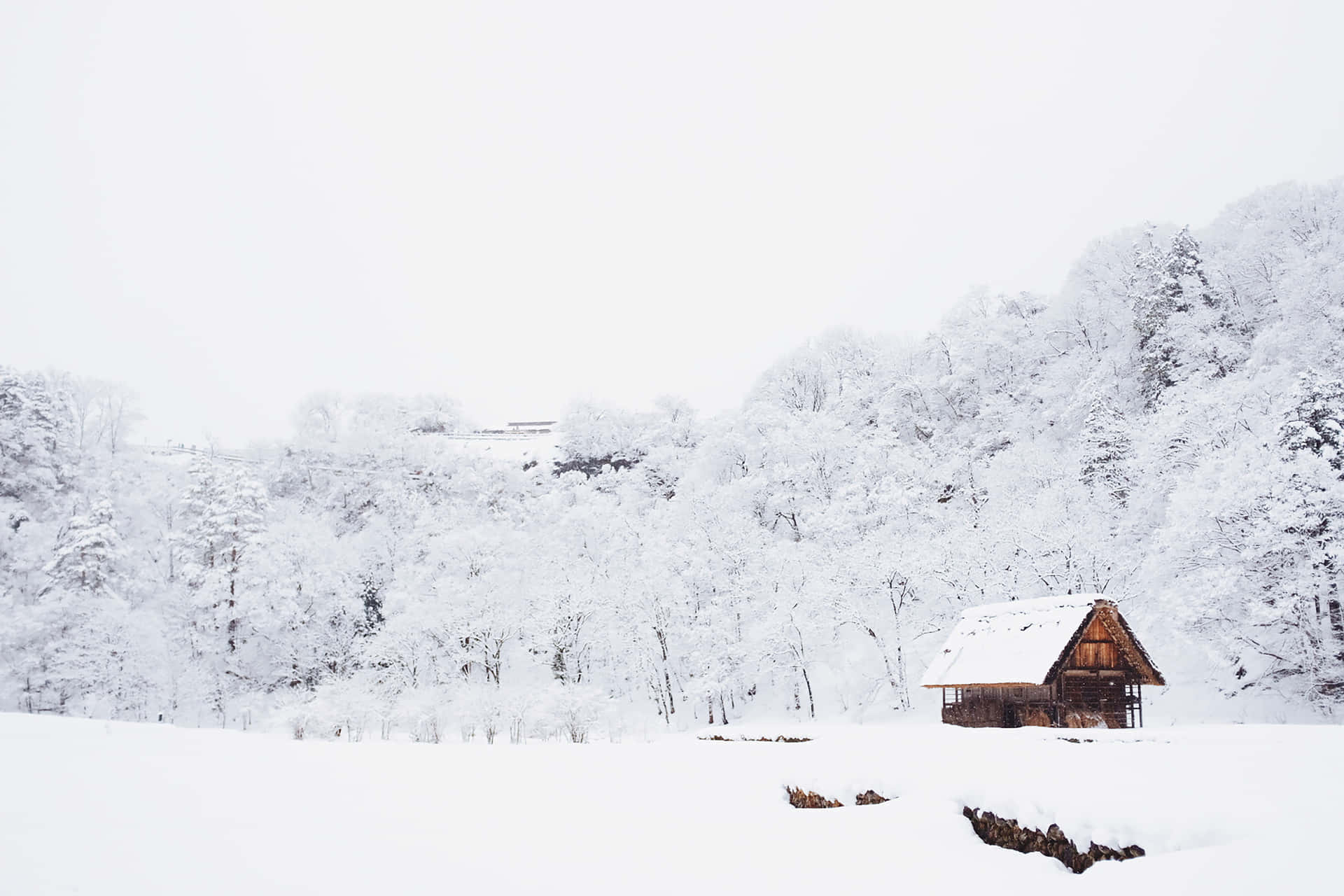 雪地冬日森林中的小木屋，周圍是白雪覆蓋的樹木。