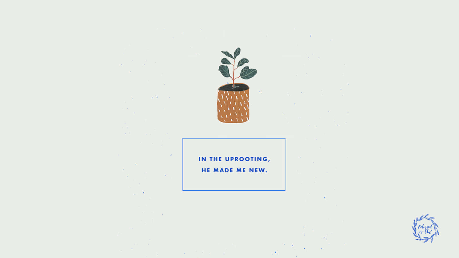 一個盆栽植物，以極簡風格顯示文字「In the uprooting he made me new」。