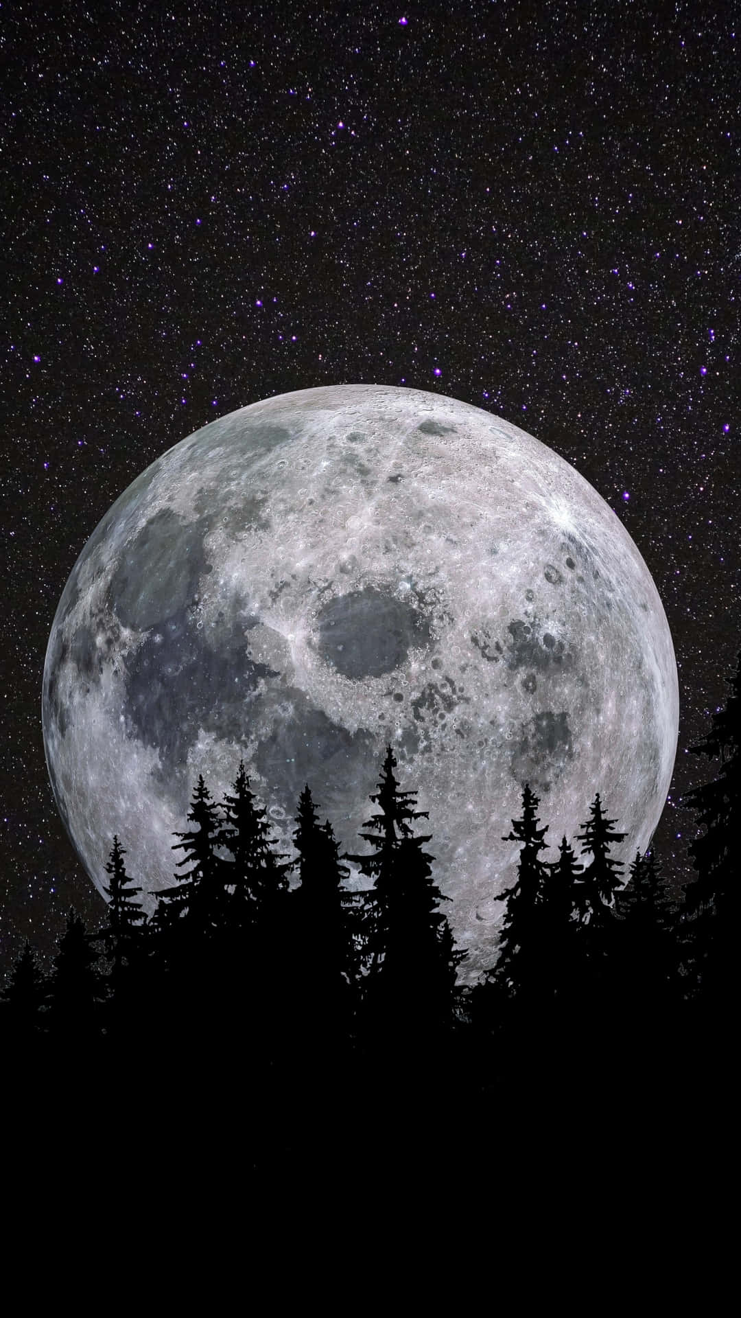 神祕滿月夜空 壁紙 — 一個巨大而細節豐富的月亮主宰著松樹暗色剪影上方繁星點點的紫色夜空。