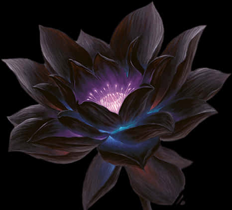 神祕蓮花藝術 壁紙 — 一朵深紫色蓮花在黑色背景上散發著內在的光芒。