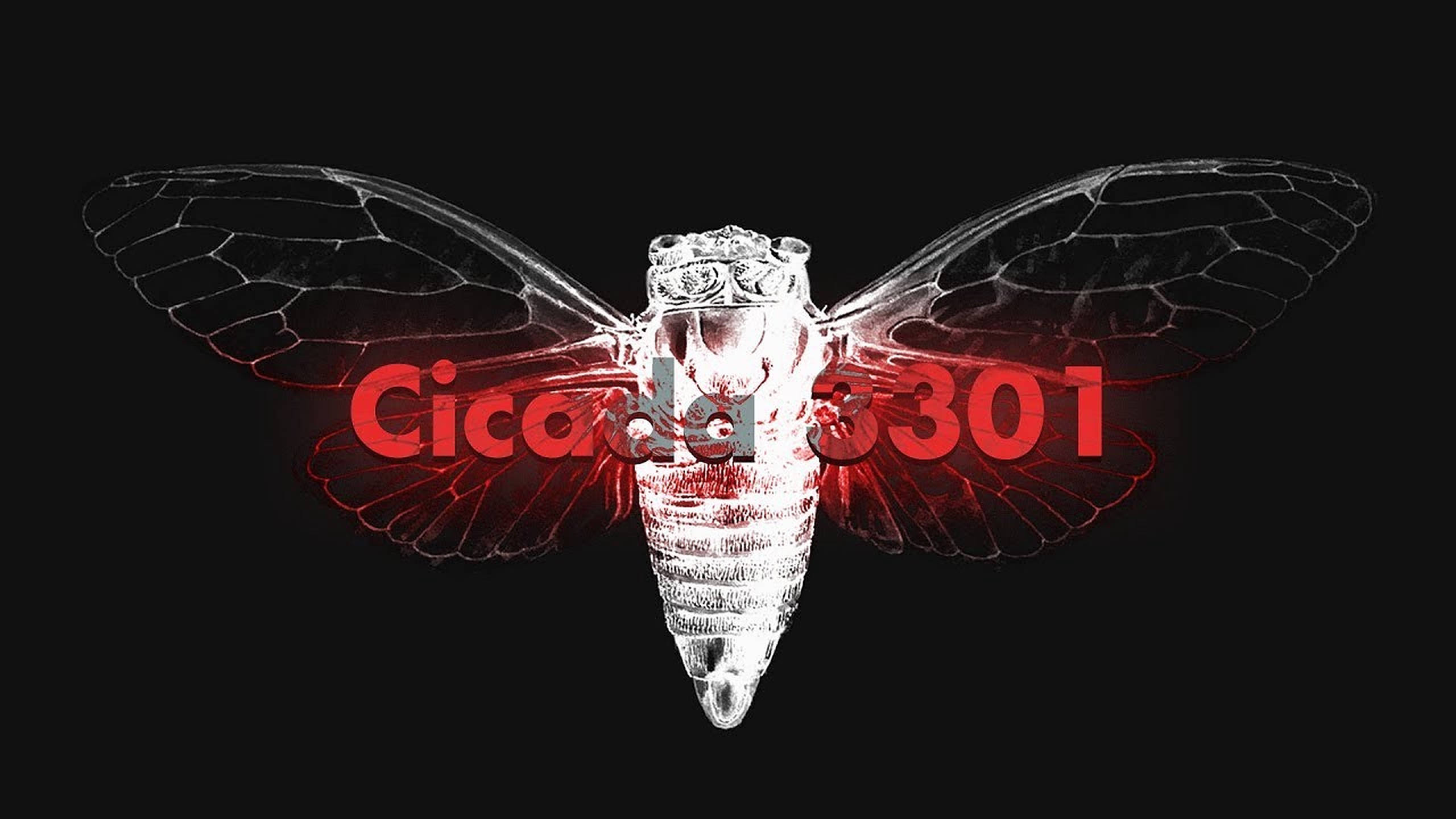 神秘 Cicada 3301 互聯網謎題海報 壁紙 — 一隻半透明的蟬，帶有發光的紅色脈絡和展開的翅膀，背景為黑色並帶有紅色文字。